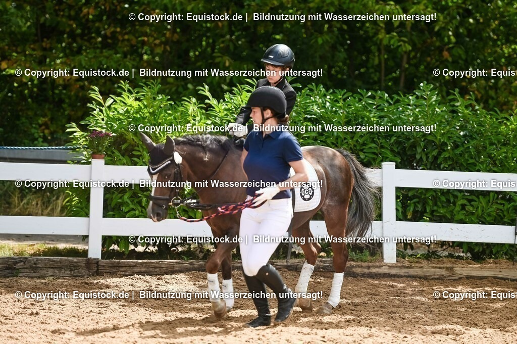 20230716_11_Führzügel-WB_0063 | equistock