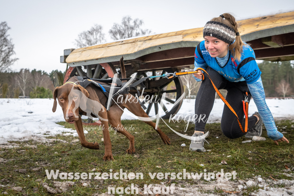 0941_ZZ91256 | kk-dogfotos