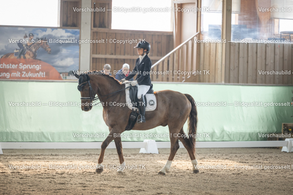 _D5A4190 | Emotionale Pferde- & People-Fotografie rund um Heidelberg, Leimen & Umgebung. Natürliche Fotos von Pferd, Mensch & Familie. Jetzt Termin sichern!