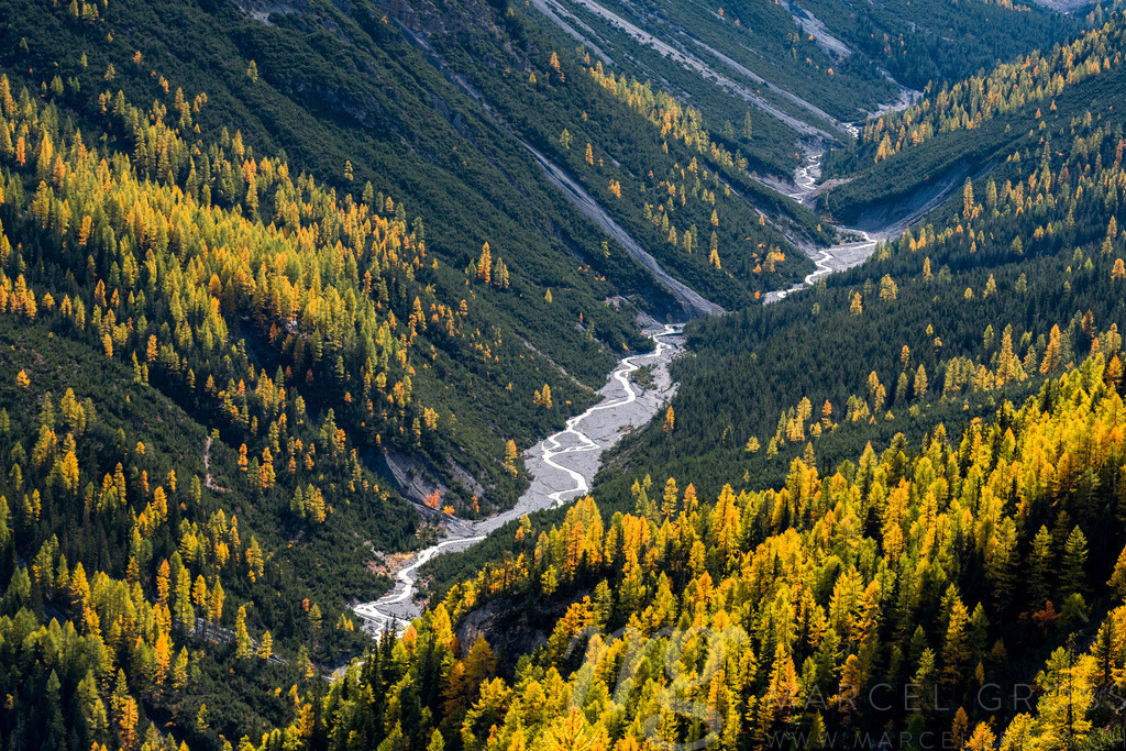 wild and untamed | wild, untamed river and larches in Val Cluozza in Swiss National Park - Realisiert mit Pictrs.com