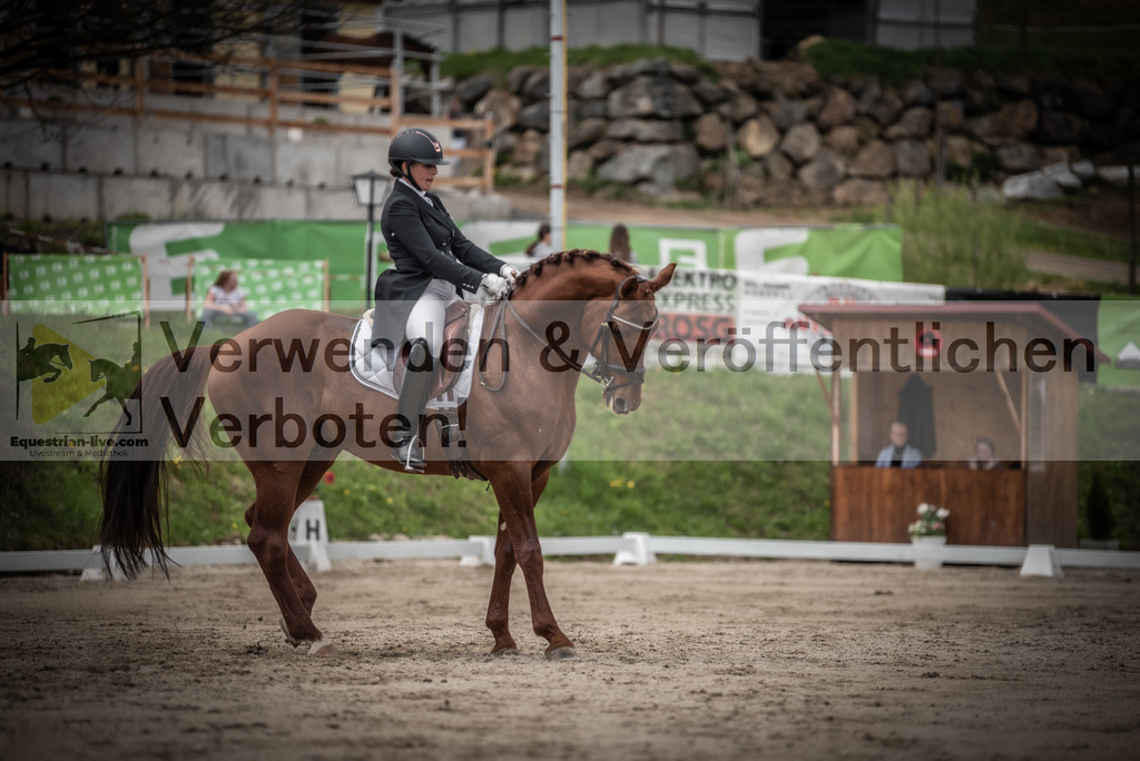 DSC_2620 | equestrian-live-com