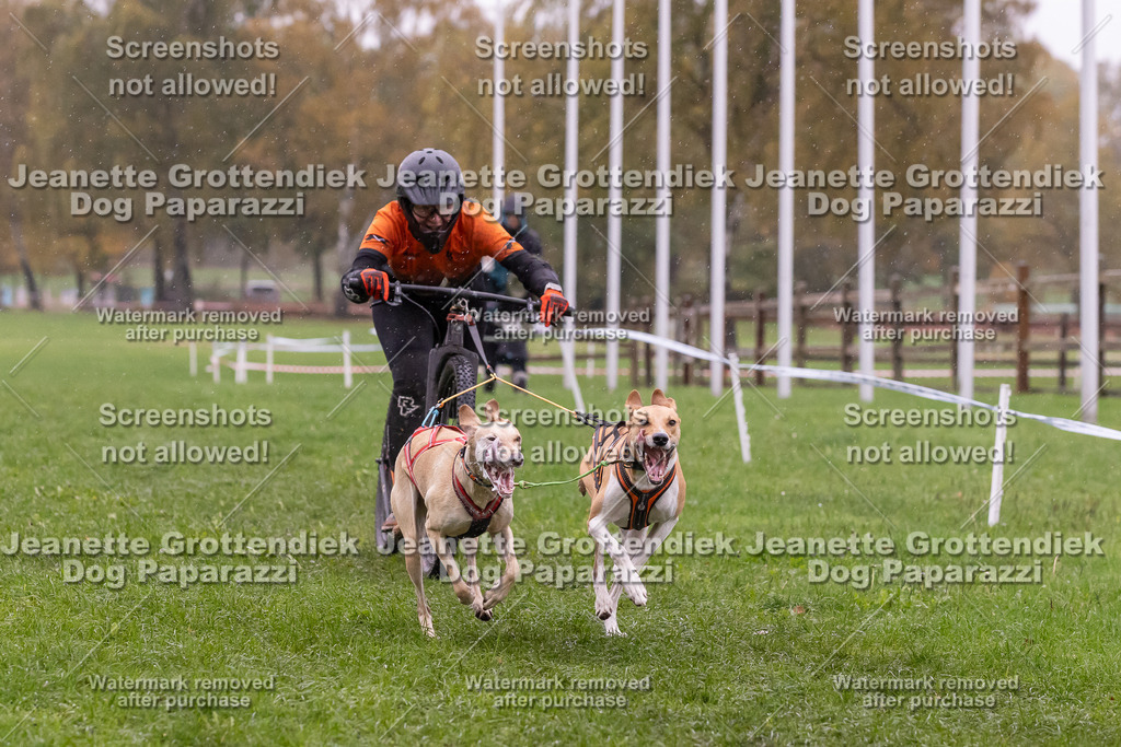 Dog Paparazzi - SD CaniX Championship 2025-881 | Dog Paparazzi Jeanette Grottendiek Fotografie & Videografie - Realisiert mit Pictrs.com