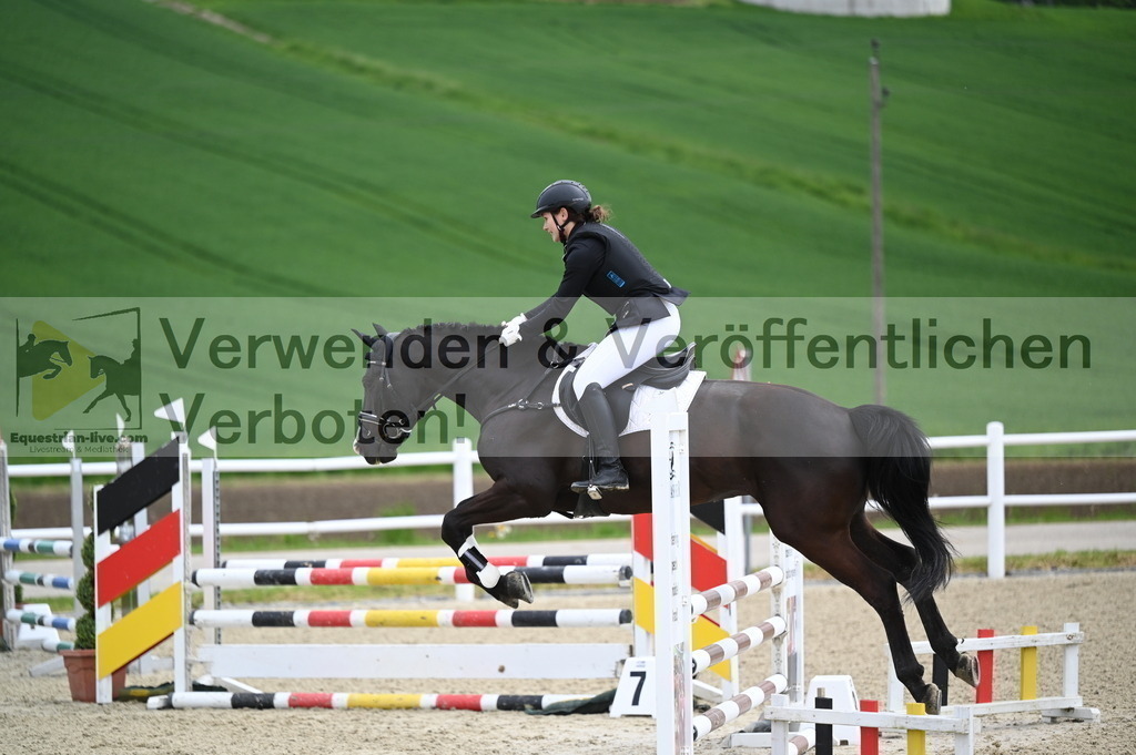 DSC_0662 | equestrian-live-com