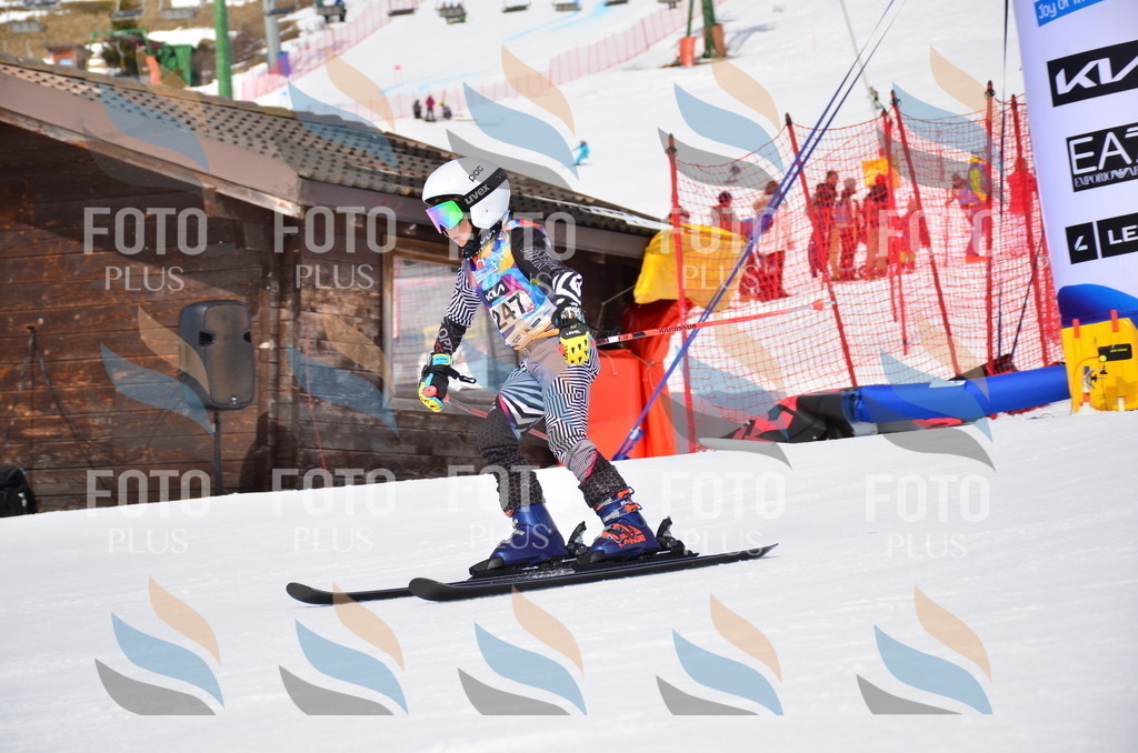 VR4_7482 | holidayphoto