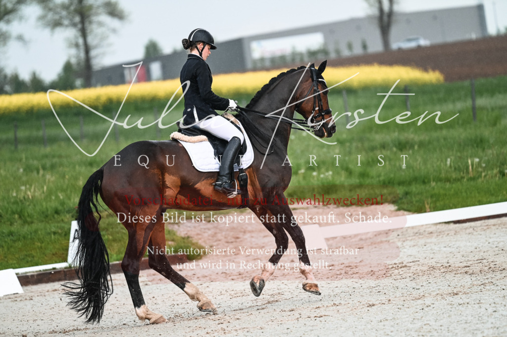DSC_4166 | Pferde- und Turnierfotografie in Westsachsen. Pferdeportraits, Auftragszeichnungen und intuitive Kunst.