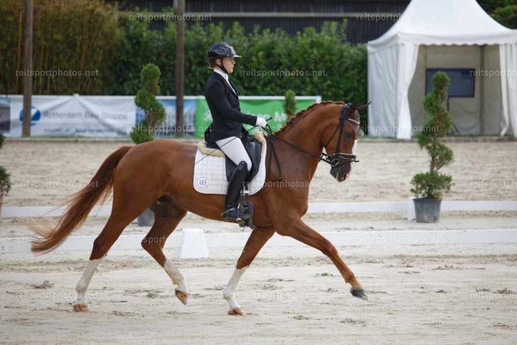 JHE_4092 | JoYa Fotografie - Realisiert mit Pictrs.com