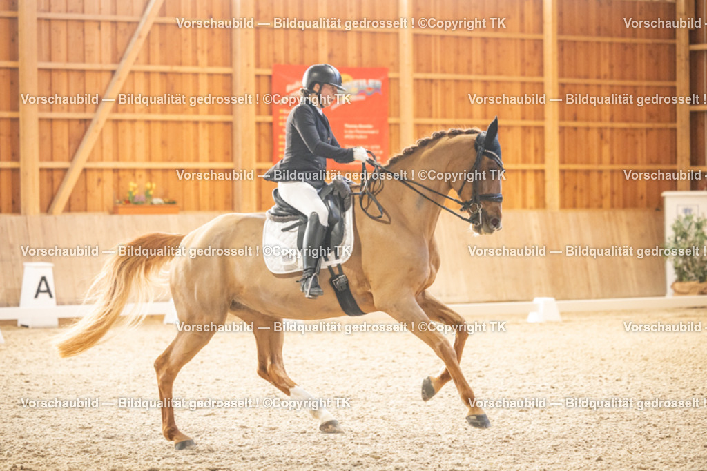 _D5A3816 | Emotionale Pferde- & People-Fotografie rund um Heidelberg, Leimen & Umgebung. Natürliche Fotos von Pferd, Mensch & Familie. Jetzt Termin sichern!