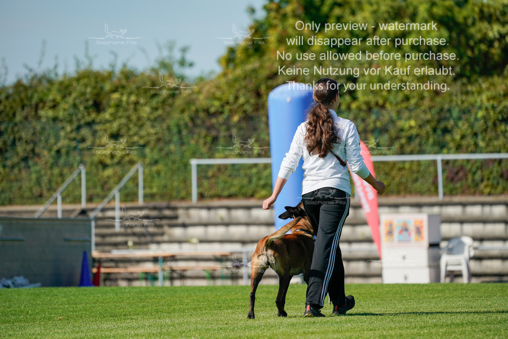 Samstag_Gehorsam_V2 (117) | stephaniefillaphotographie - Realisiert mit Pictrs.com