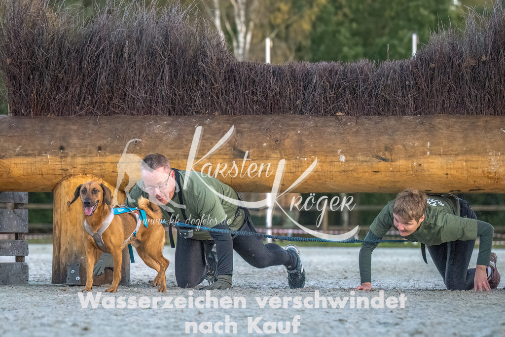 0816-00140 | kk-dogfotos