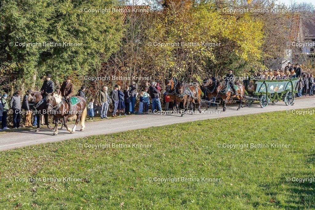LBT25-262 | foto-bettina-krinner - Realisiert mit Pictrs.com