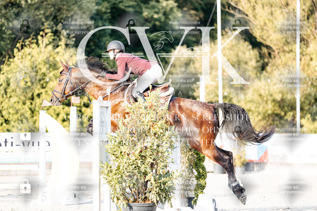 CK903547 | Turnierfotografie Pferdefotografie Trier Rheinland-Pfalz Pferdesport Reitsport Tierfotografie Sportfotografie Pferdevideo Pferdevideografie Equestrianvideography equestrianphotography  - Realisiert mit Pictrs.com