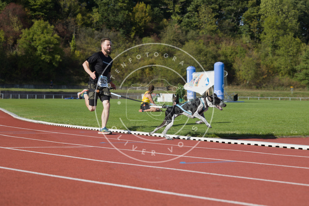 0L8A0117 | Hundefotografie, Tierfotograf, Pfotenfotografie, Fotoshooting Hund, Hunde Portrait, Hundesport, Hundeportraits, Heideshooting, Hunde, Sportfotograf, Hundefotograf, Turnierhundsport, THS,  - Realisiert mit Pictrs.com