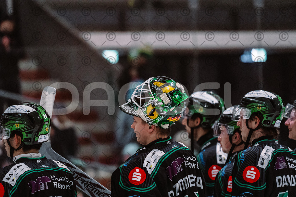 Alligators_vs_Toelz_15_02_2026-46 | Höchstadt Alligators Fotogalerie: Eishockey-Action aus Franken. Professionelle Spielfotos, Portraits & Stadionbilder zum Download. Jetzt entdecken! - Realisiert mit Pictrs.com