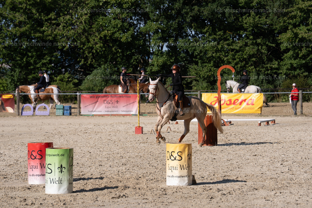 WS_SP_65_SinaFilmArt_IN09345 | working equitationturnier fotograf videograf stoibphotography marixx film working equitation deutschland reitsport turnierfotografie eventfotografie equestrian events