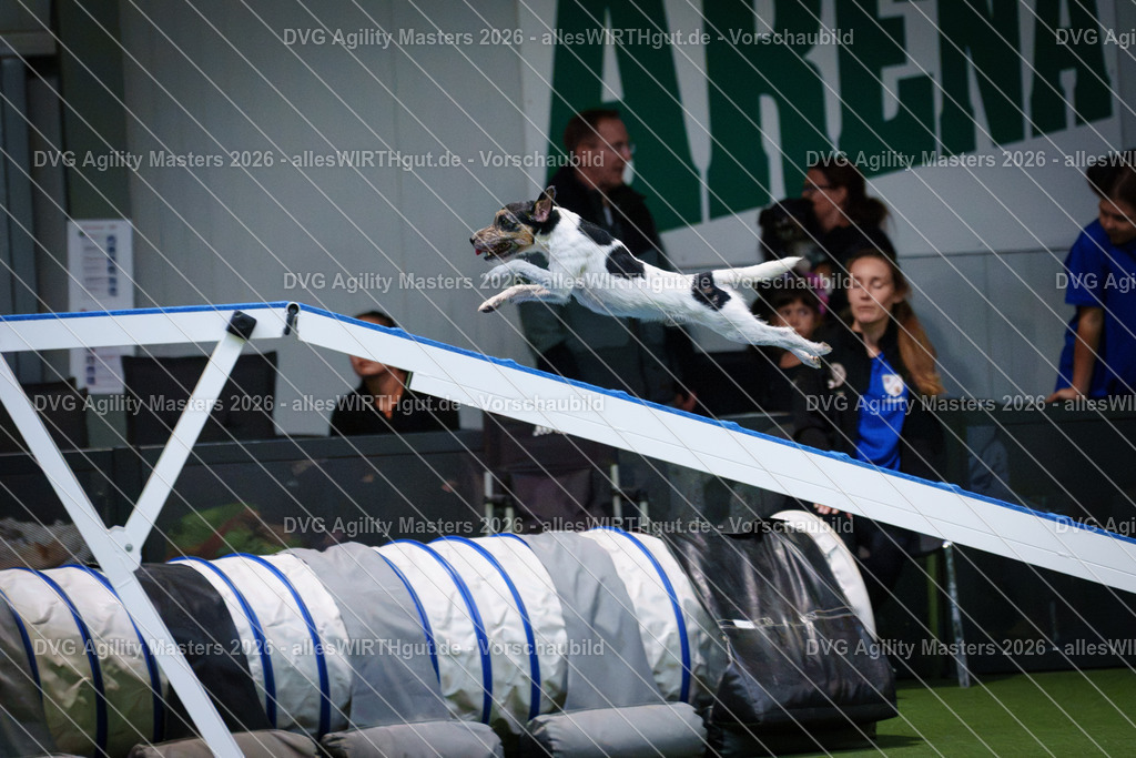 allesWIRTHgut_Tierfotografie-DVG_Agility_Masters_2026-14_20-7R504478 | Professionelle Tierfotografie in Mönchengladbach von Daniel Wirth (allesWIRTHgut). Liebevolle & natürliche Bilder von Hunden & Katzen für unvergessliche Erinnerungen.