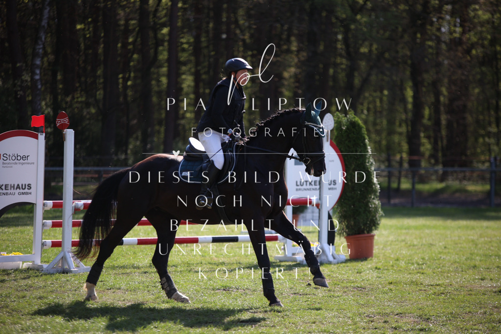 IMGT9216 | pl-fotografie