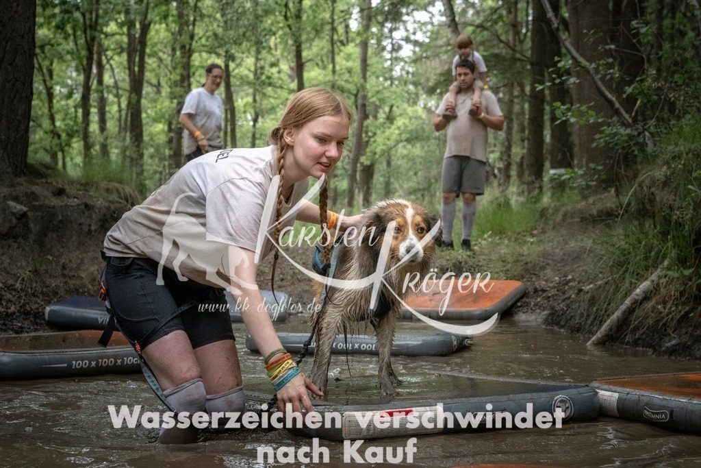 1213_ZZ97896T | kk-dogfotos