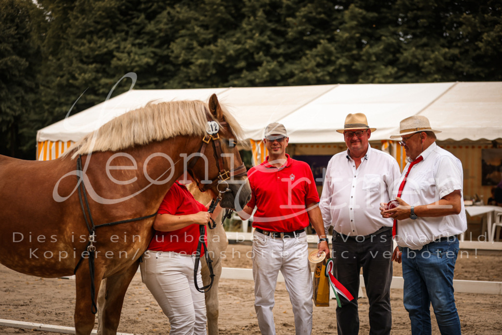 SaHF00114 | Leoni Ertmer Photography - Realisiert mit Pictrs.com