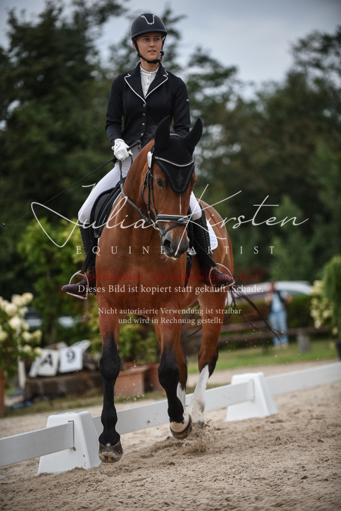 DSC_8284 | Pferde- und Turnierfotografie in Westsachsen. Pferdeportraits, Auftragszeichnungen und intuitive Kunst.