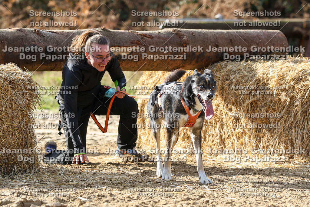 Dog Paparazzi - Strongdog 10-25-5883 | Dog Paparazzi Jeanette Grottendiek Fotografie & Videografie - Realisiert mit Pictrs.com