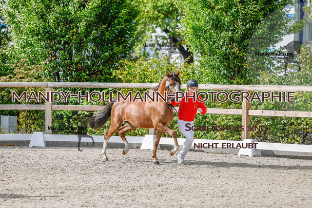 GK (364 von 759) | mandyhollmannphotographie