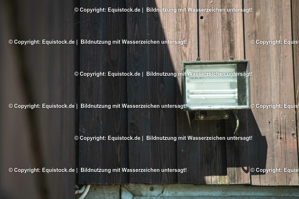 20210531_Sicherheit-im-Stall_0002 | Foto: Thomas Hartig