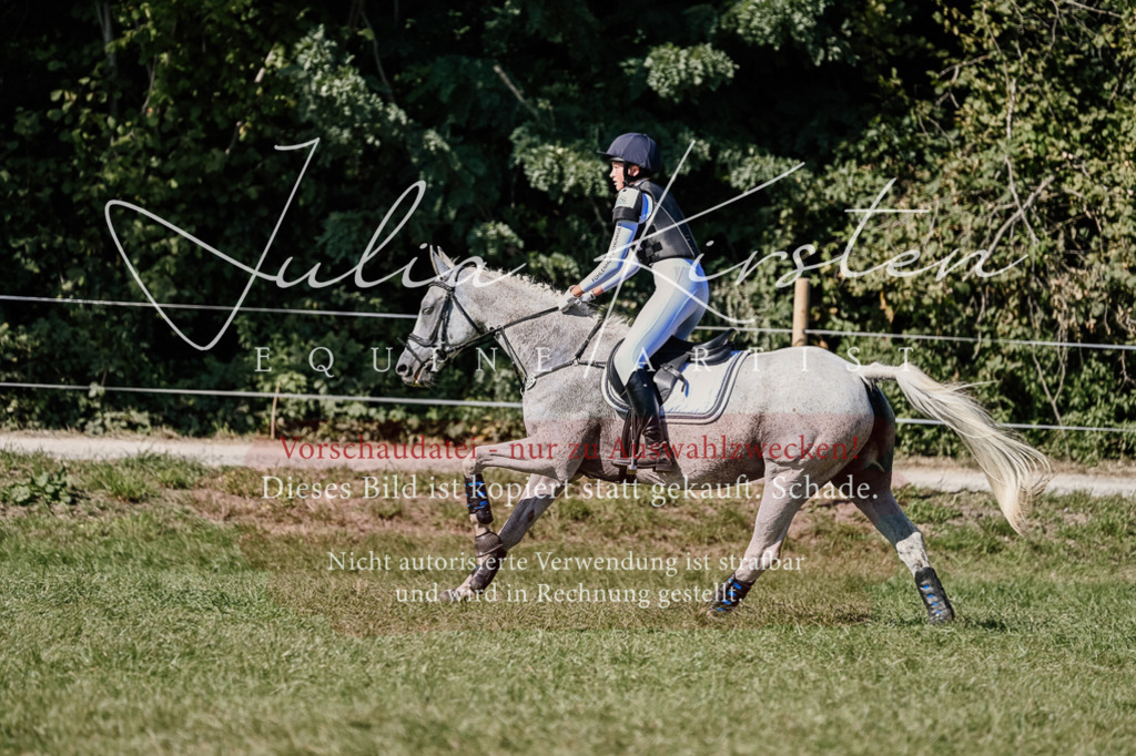 DSC_3032 | Pferde- und Turnierfotografie in Westsachsen. Pferdeportraits, Auftragszeichnungen und intuitive Kunst.