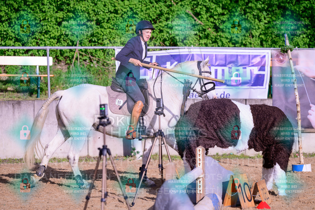 02052026-Giesenbach-03-Speedtrail-0350 | Fokus Hufschlag Fotografie - Realisiert mit Pictrs.com