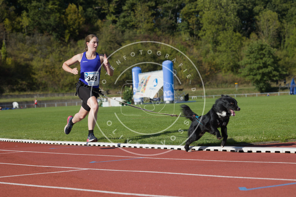 0L8A9588 | Hundefotografie, Tierfotograf, Pfotenfotografie, Fotoshooting Hund, Hunde Portrait, Hundesport, Hundeportraits, Heideshooting, Hunde, Sportfotograf, Hundefotograf, Turnierhundsport, THS,  - Realisiert mit Pictrs.com