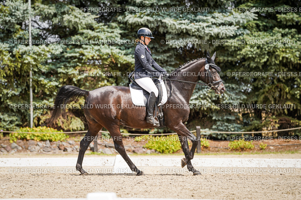 DSC02776 | Pferdegrafie