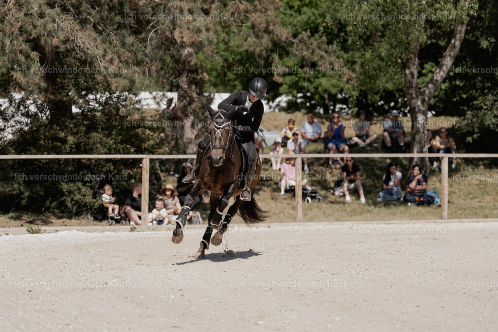 WE_SP_Stoib_309_PI2025_1498 | Pferd International München 2025