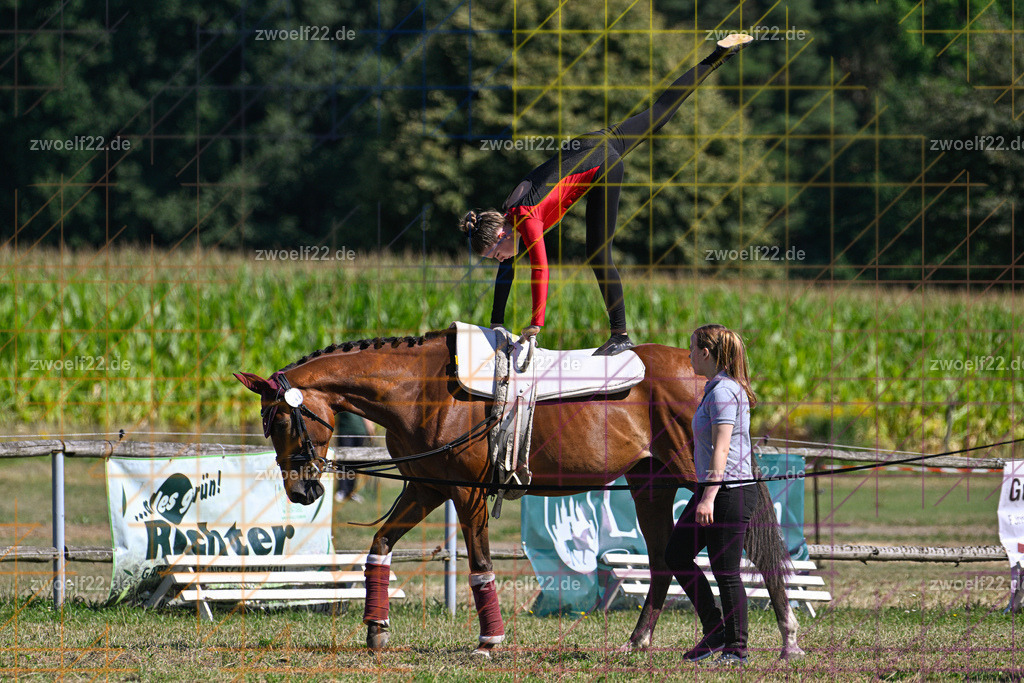 30 Jahre RFV Pulsnitz e.V., Pulsnitz am 09.08.2026 | 30Jahre Reit- und Fahrverein Pulsnitz e.V., Pulsnitz am 08.08.26, Zur 28. breitensportlichen Veranstaltung des RFV Pulsnitz e.V. fanden verschiedene Wettbewerbe in nahezu allen Disziplinen des Pferdesport statt.- Voltigier-Wettbewerb im Schritt - Realisiert mit Pictrs.com