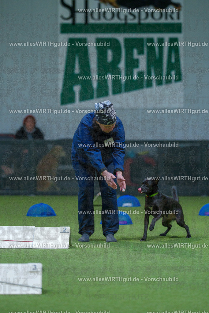 7R501203 | Professionelle Tierfotografie in Mönchengladbach von Daniel Wirth (allesWIRTHgut). Liebevolle & natürliche Bilder von Hunden & Katzen für unvergessliche Erinnerungen.