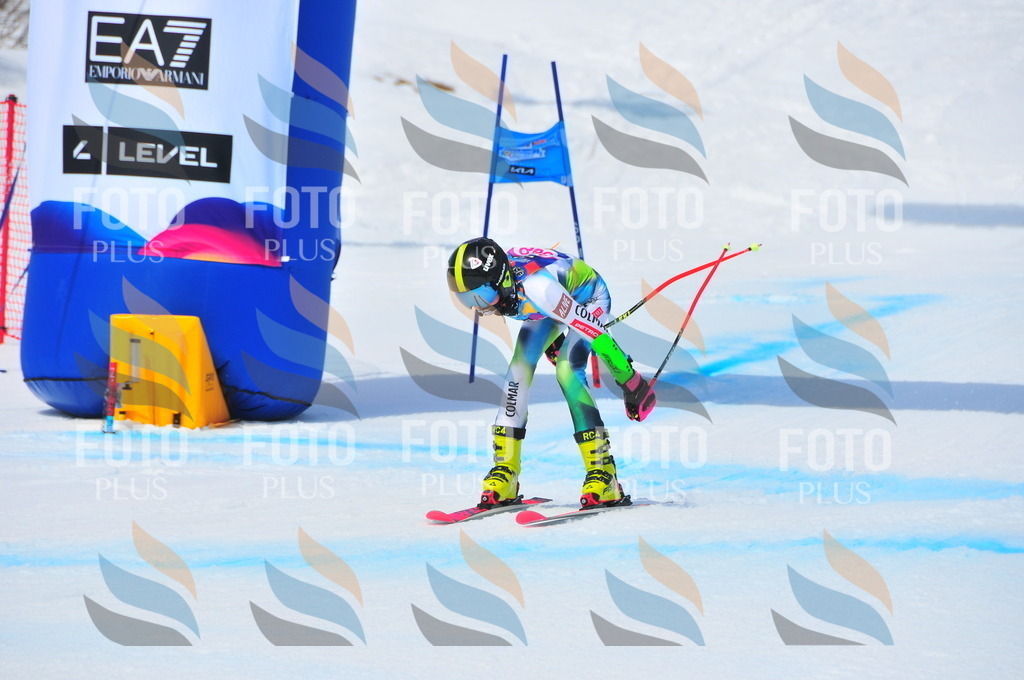 DSC_7109 | holidayphoto