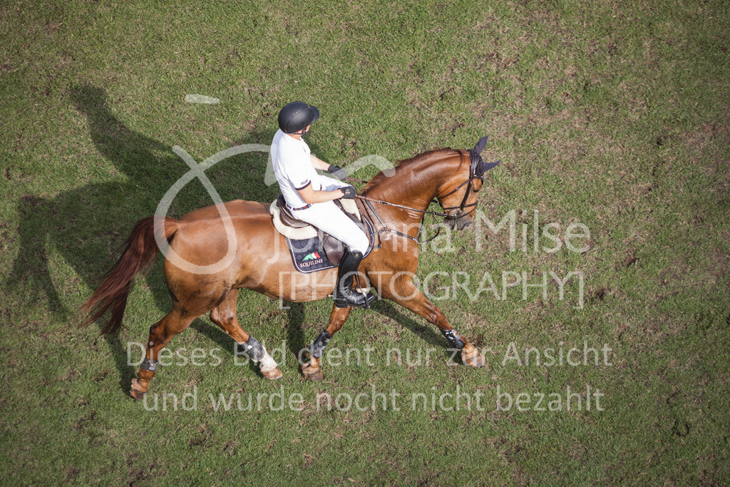 230715_LC_M2-SprmstAnf-714 | Deine schönsten Turniermomente als professionelle Fotos! Entdecke hochwertige Pferdesport-Fotografie im Online-Shop. Jetzt Fotos finden & bestellen!