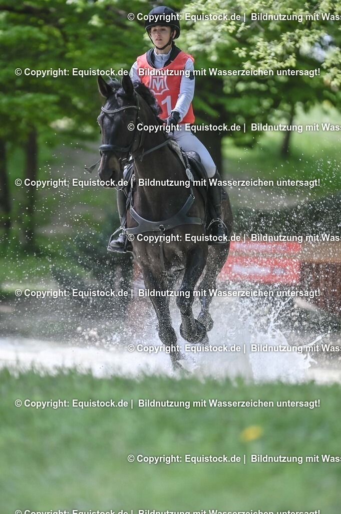 20250517_CCI2_Gelände_1685 | Foto: Thomas Hartig