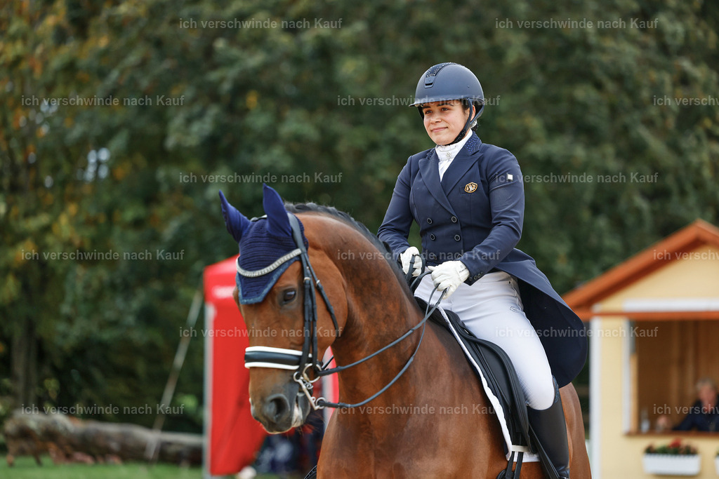 8_2-169-DRESSUR S_  -StoibPH-4428 | working equitationturnier fotograf videograf stoibphotography marixx film working equitation deutschland reitsport turnierfotografie eventfotografie equestrian events