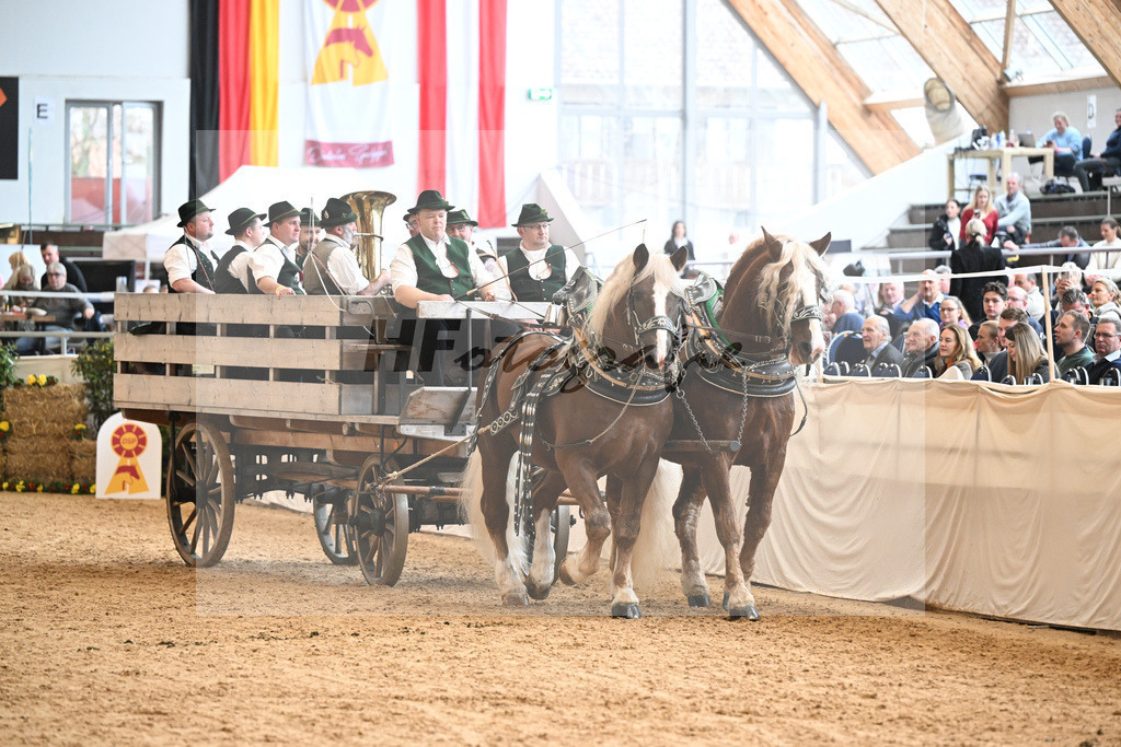 Schauprogramm Sueddeutsches Kaltblut_Schelle_2251592 | hf-fotografie - Realizzato con Pictrs.com