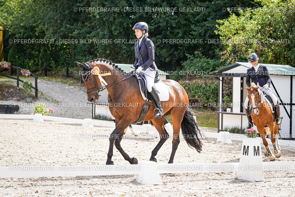 DSC02315 | Pferdegrafie