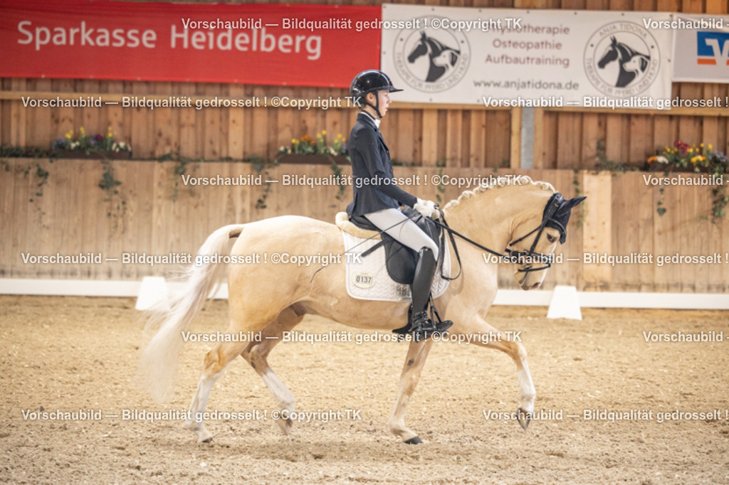 _D5A8464 | Emotionale Pferde- & People-Fotografie rund um Heidelberg, Leimen & Umgebung. Natürliche Fotos von Pferd, Mensch & Familie. Jetzt Termin sichern!