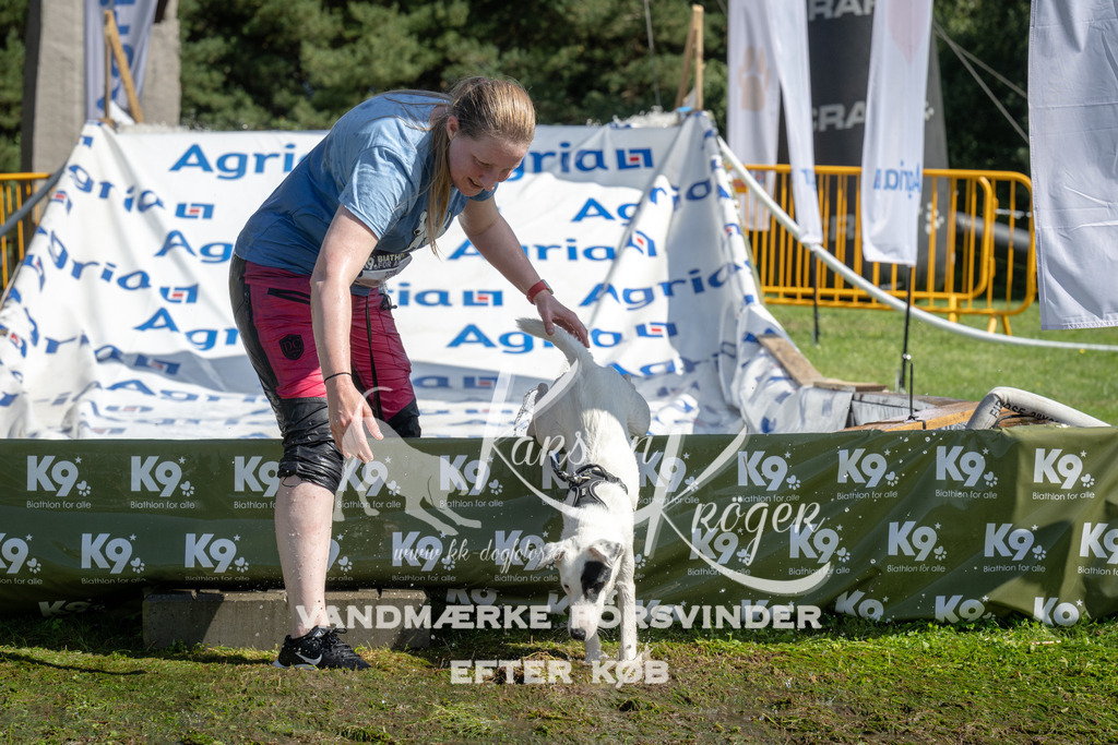 1138_ZZ93227 | kk-dogfotos
