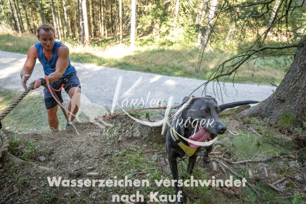 1204_ZZ93299 | kk-dogfotos