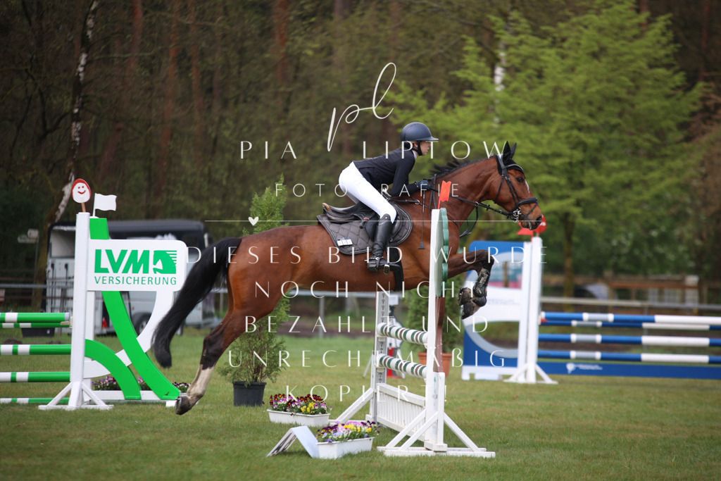 IMGT2389 | pl-fotografie