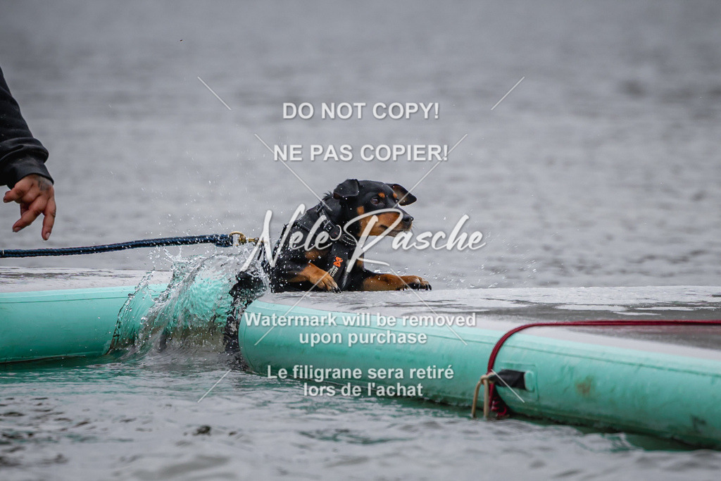 nelerasche_Hulsbeek_Sa1430-1515_135 | nelerasche