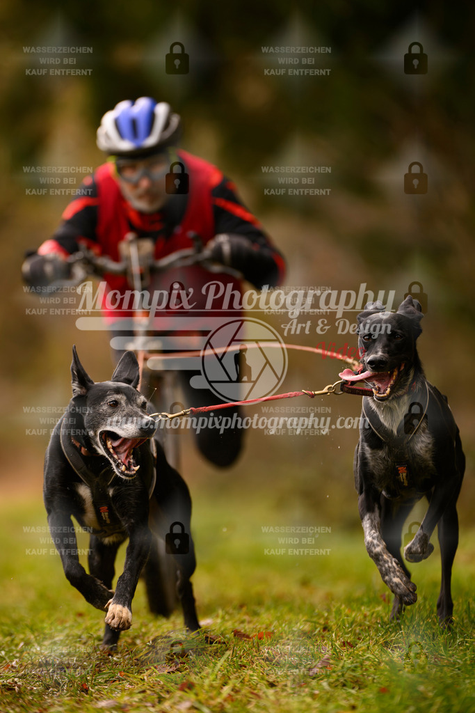 MompixPhotography_2SSTSSBW_2025_SO_Scooter-74 | PayLife