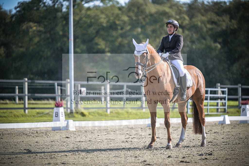 DOS_1567 | Entdecke hochwertige Reitturnierfotos von Foto Oger. Professionell, emotional und authentisch – jetzt Lieblingsmomente im Shop bestellen.Deutschlandweite Turnierfotografie. - Realisiert mit Pictrs.com