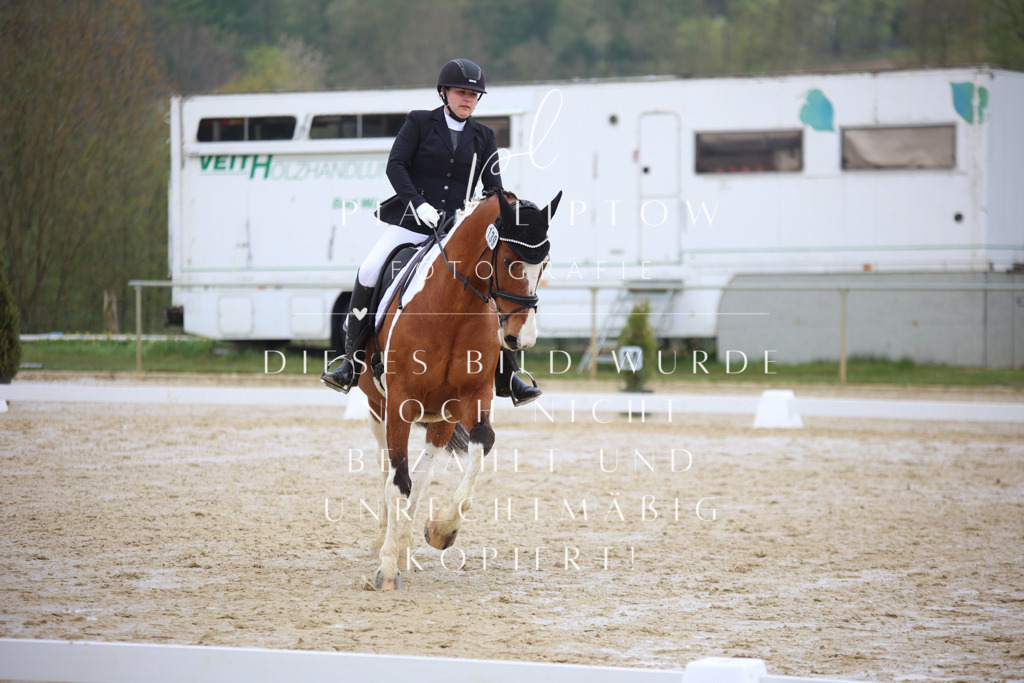 IMGT3887 | pl-fotografie