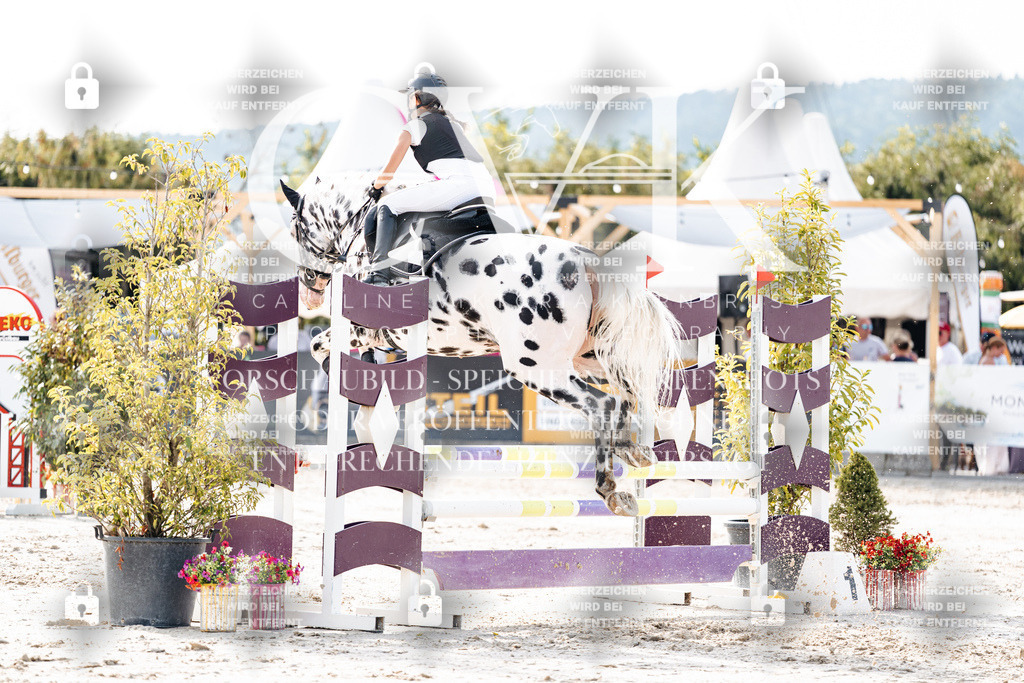 CK905955 | Turnierfotografie Pferdefotografie Trier Rheinland-Pfalz Pferdesport Reitsport Tierfotografie Sportfotografie Pferdevideo Pferdevideografie Equestrianvideography equestrianphotography  - Realisiert mit Pictrs.com