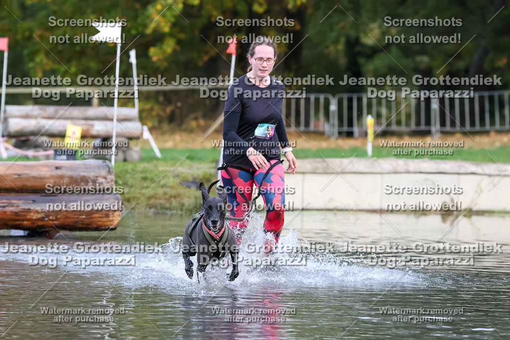 Dog Paparazzi - Strongdog 10-25-6718 | Dog Paparazzi Jeanette Grottendiek Fotografie & Videografie - Realisiert mit Pictrs.com