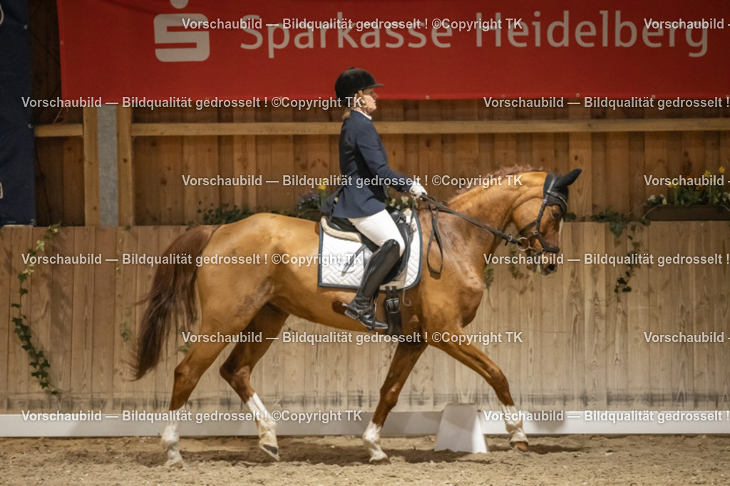 _D5A0483 | Emotionale Pferde- & People-Fotografie rund um Heidelberg, Leimen & Umgebung. Natürliche Fotos von Pferd, Mensch & Familie. Jetzt Termin sichern!